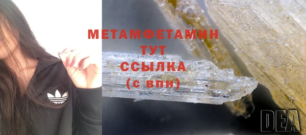 гидра Новозыбков