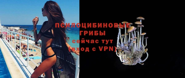 jwh Новокубанск