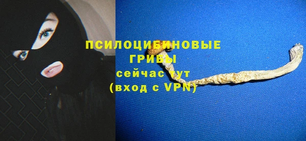 гидра Новозыбков