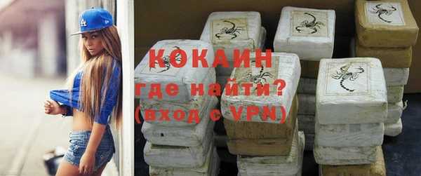 шишки Абаза