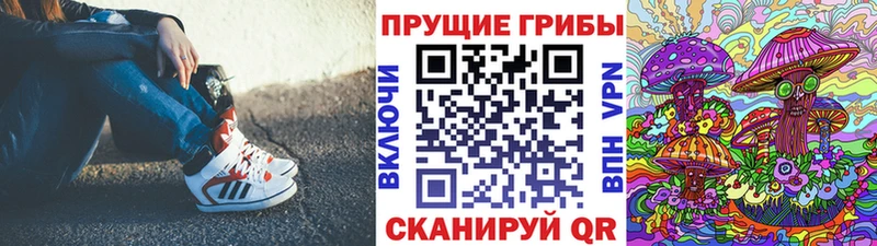 Галлюциногенные грибы Psilocybe  Адыгейск 